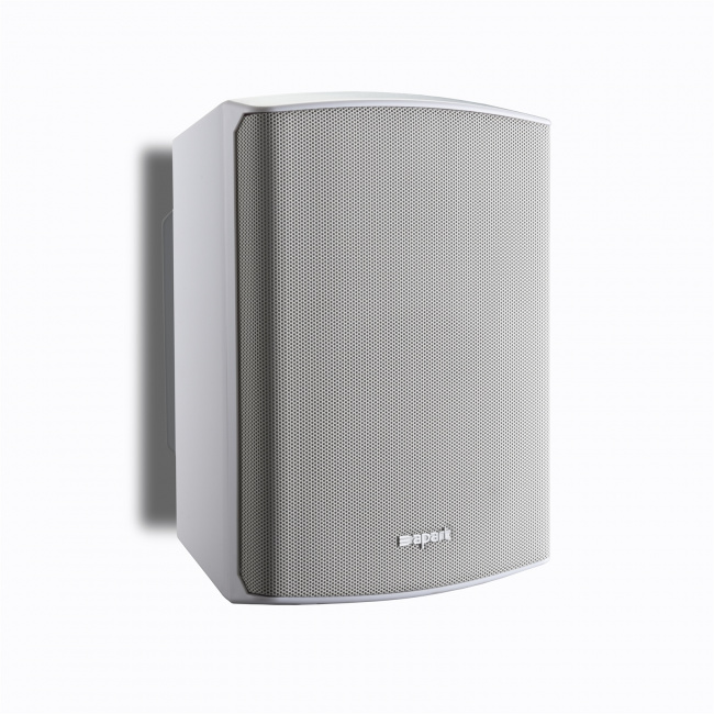 Настенный громкоговоритель BIAMP SDQ5P-W