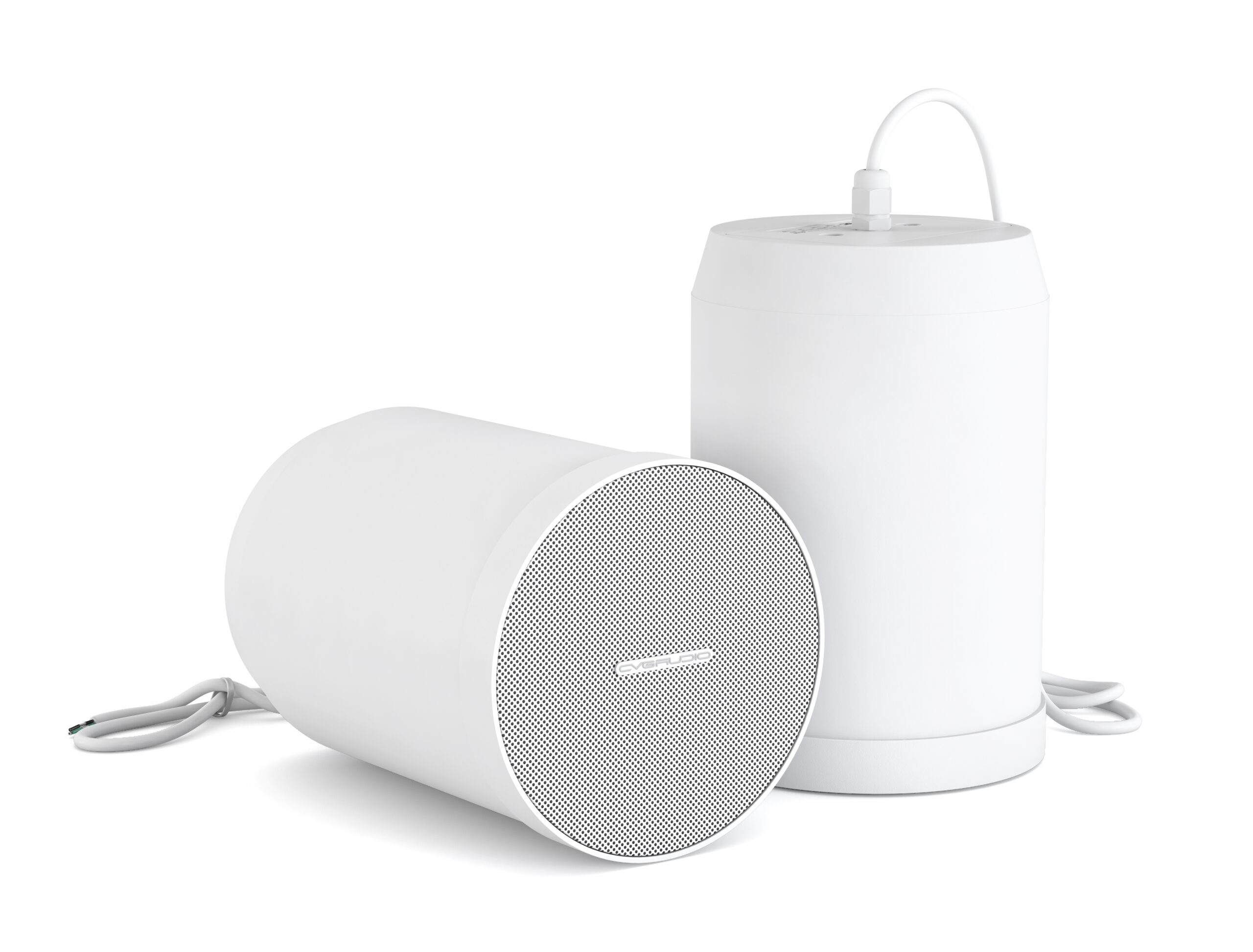 Подвесной громкоговоритель CVGaudio SPC5TW