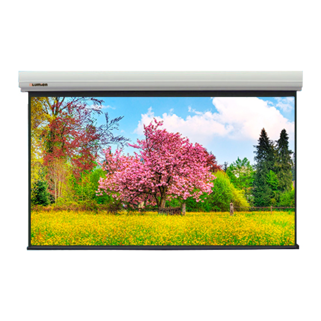 Экран моторизированный Lumien LMLC-100108